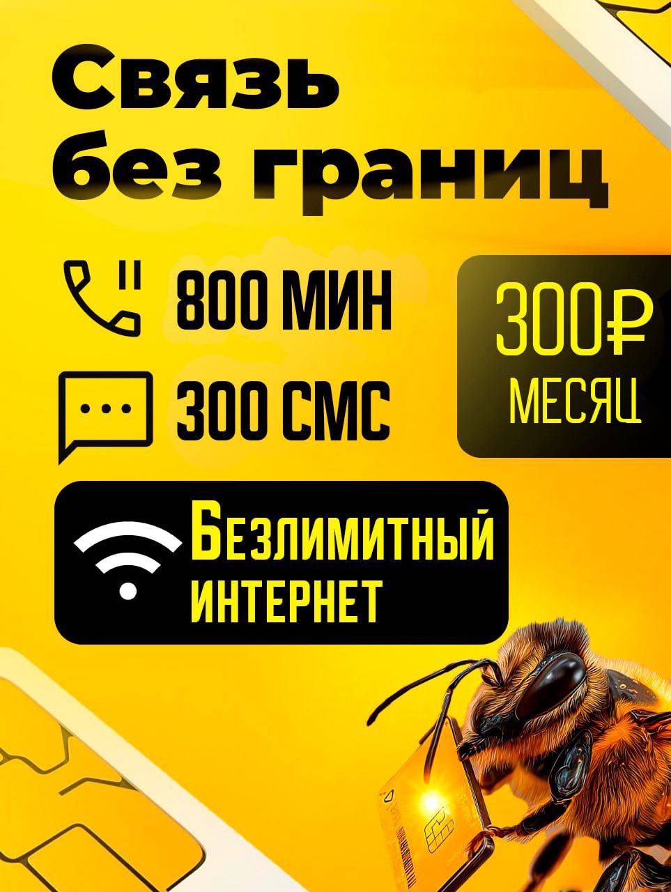 Тарифный план Связь без границ 300 (Билайн)